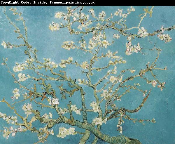Vincent Van Gogh Almond Blossoms